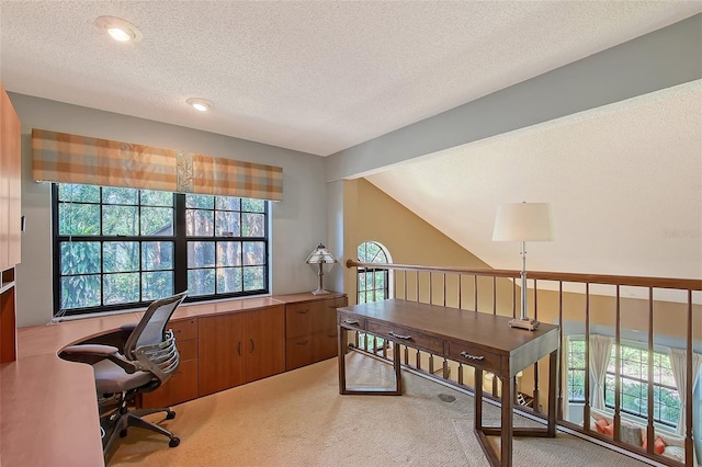 4917 Leatha Ln, Sarasota, FL 34232 - office featuring light carpet, plenty of natural light, a textured ceiling, lofted ceiling, and recessed lighting