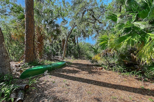 4917 Leatha Ln, Sarasota, FL 34232 - view of yard
