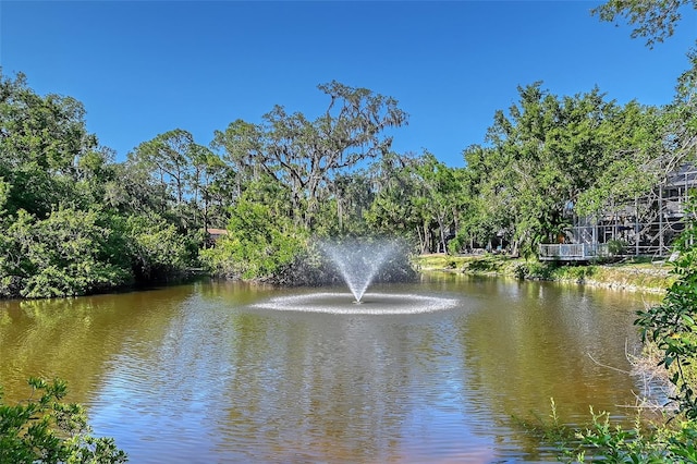 4917 Leatha Ln, Sarasota, FL 34232 - photo 55