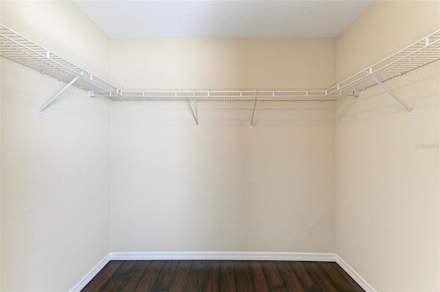 5420 River Sound Ter, Bradenton, FL 34208 - walk in closet with dark wood-style floors