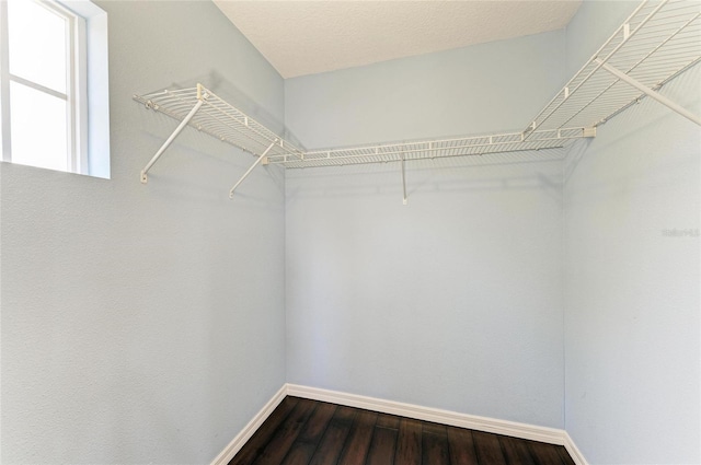 5420 River Sound Ter, Bradenton, FL 34208 - spacious closet featuring dark wood finished floors
