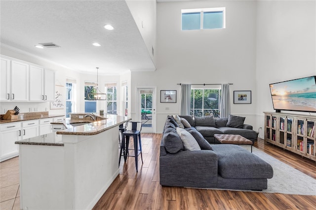 6032 36th Ct E, Ellenton, FL 34222 - living area featuring ornamental molding, a high ceiling, wood finished floors, recessed lighting, and a textured ceiling