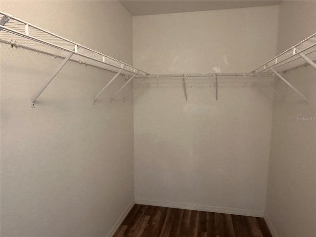 4027 Allure Ln, North Port, FL 34287 - walk in closet featuring dark wood-style floors