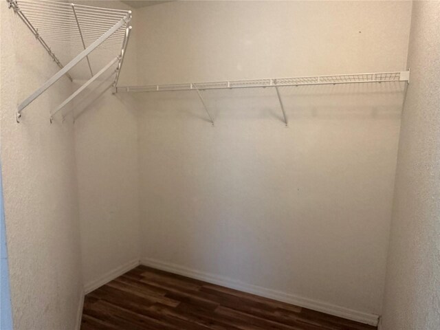 4027 Allure Ln, North Port, FL 34287 - walk in closet featuring dark wood finished floors