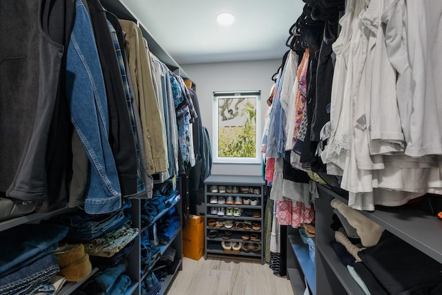 5581 Shadow Lawn Dr, Sarasota, FL 34242 - view of walk in closet