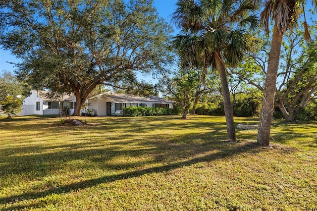 31 Twig Ct, Port Charlotte, FL 33954 - view of green lawn