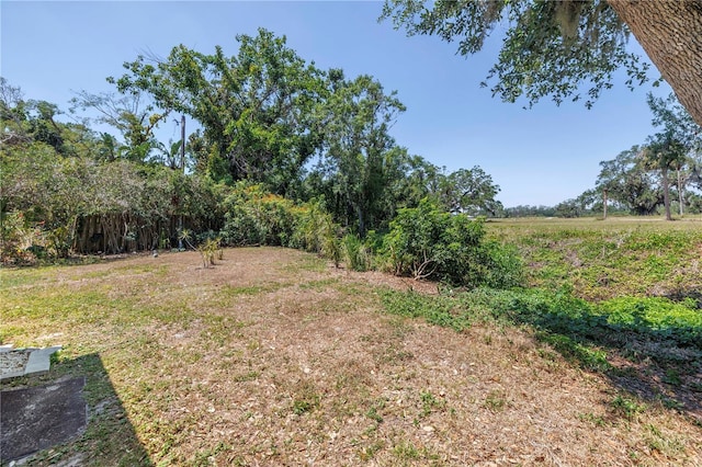 435 Whispering Oaks Ct, Sarasota, FL 34232 - view of yard