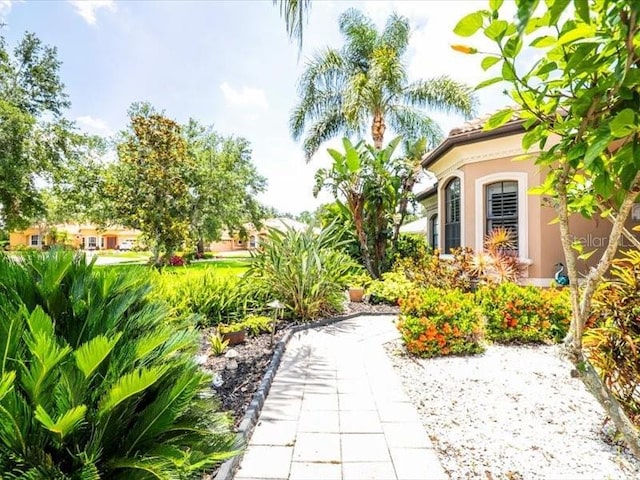 312 148th Ct NE, Bradenton, FL 34212 - view of yard