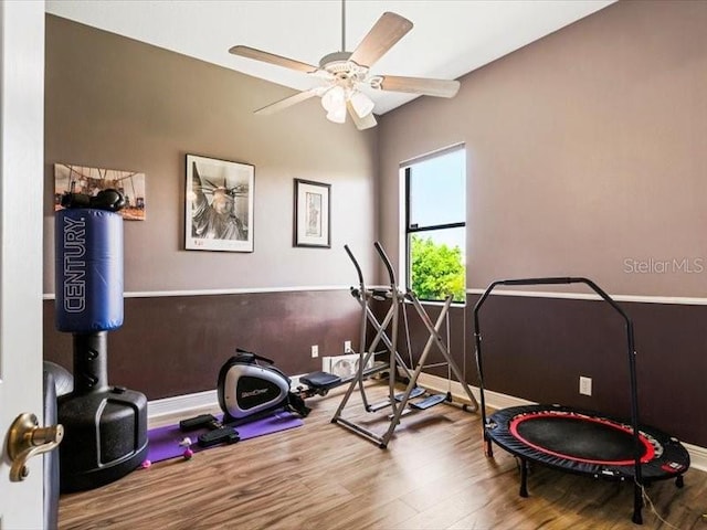 312 148th Ct NE, Bradenton, FL 34212 - exercise room featuring wood finished floors, ceiling fan, and baseboards