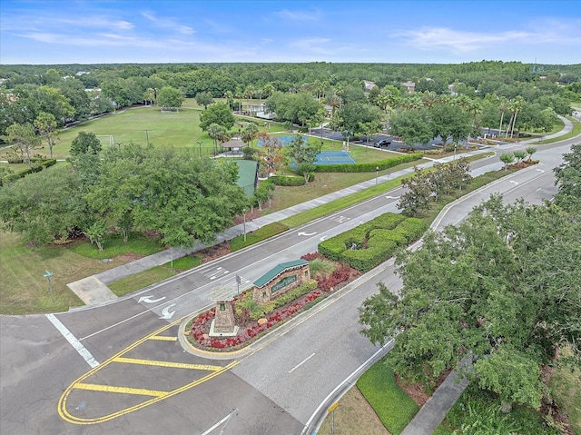 5618 Sheer Bliss Loop, Land O Lakes, FL 34639 - bird's eye view