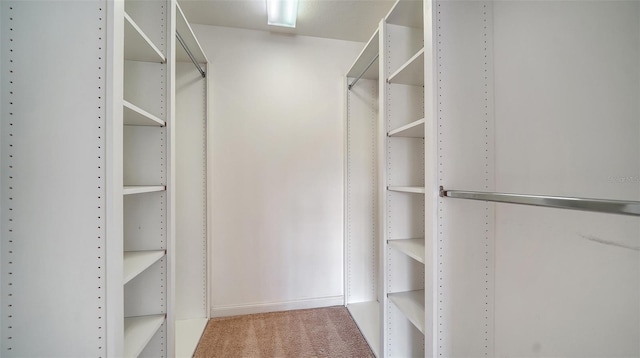 5566 Avellino Pl, Sarasota, FL 34238 - spacious closet with carpet flooring