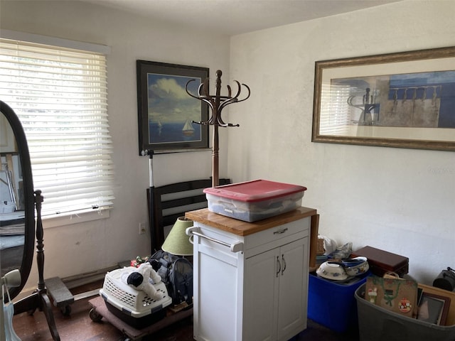 104 22nd Street Ct E, Bradenton, FL 34208 - bedroom featuring multiple windows