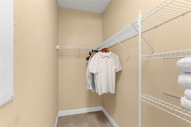 11794 Forest Park Cir, Bradenton, FL 34211 - spacious closet with carpet