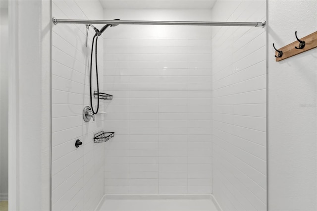8656 40th Cir E, Palmetto, FL 34221 - full bathroom featuring a shower stall