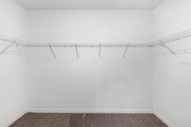 8656 40th Cir E, Palmetto, FL 34221 - spacious closet featuring carpet