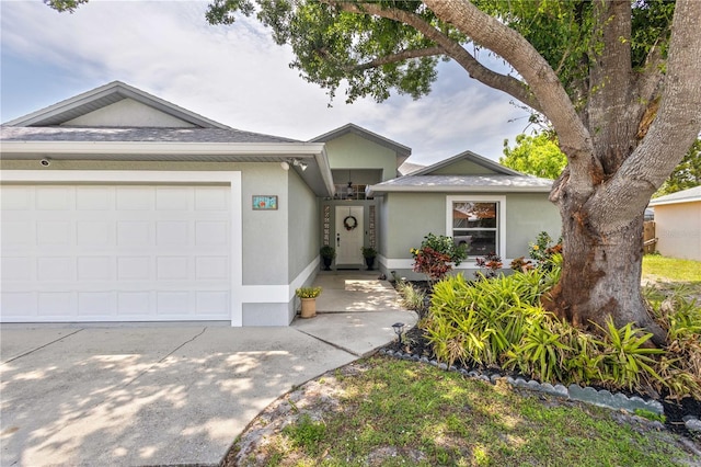 4222 Lanai Dr, Sarasota, FL 34241 - ranch-style house featuring stucco siding, concrete driveway, roof with shingles, and an attached garage