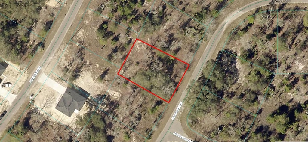 9038-1243-22 Fisher Lane Way, Ocklawaha, FL 32179