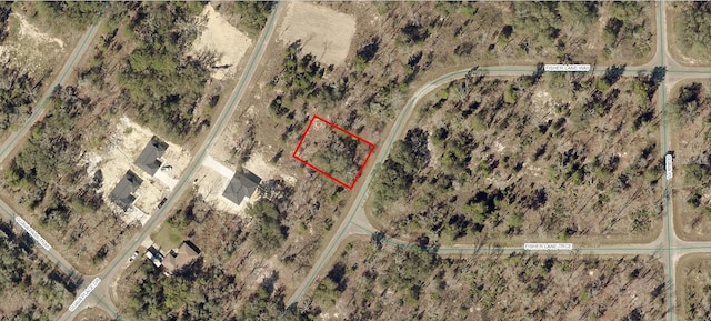 9038-1243-22 Fisher Lane Way, Ocklawaha, FL 32179