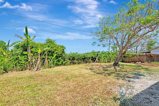 2420 16th St W, Palmetto, FL 34221 - view of yard