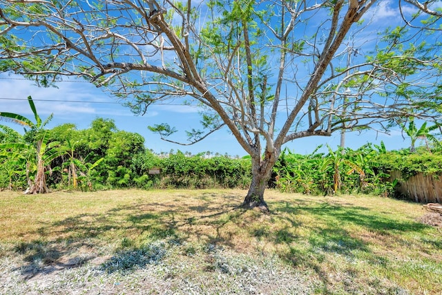 2420 16th St W, Palmetto, FL 34221 - view of yard