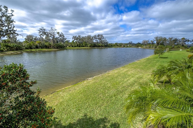 3631 Shimmering Oaks Dr, Parrish, FL 34219 - water view