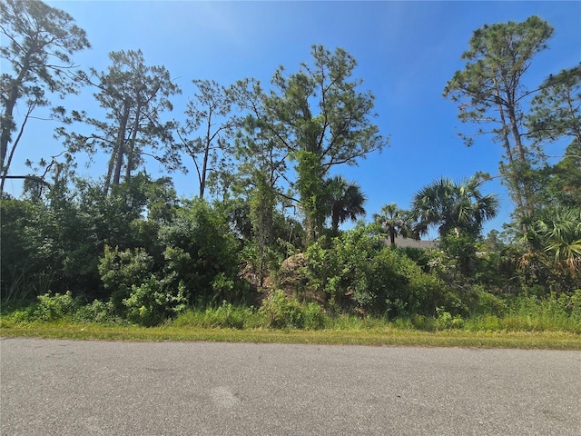 Altoona Ave, North Port, FL 34286