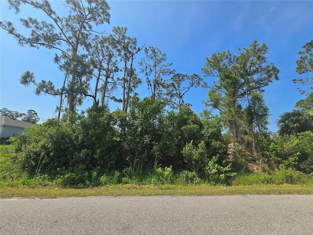Altoona Ave, North Port, FL 34286