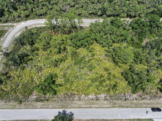 Alva St, North Port, FL 34291