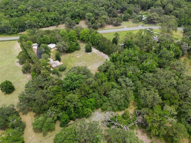22063 Lake Lindsey Rd, Brooksville, FL 34601 - view of rural area featuring a heavily wooded area