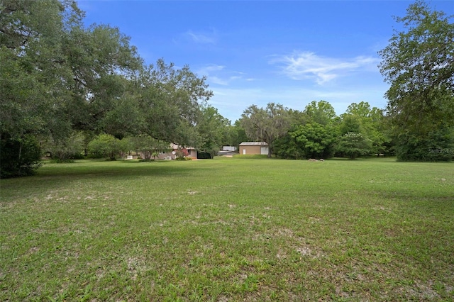 22063 Lake Lindsey Rd, Brooksville, FL 34601 - view of green lawn