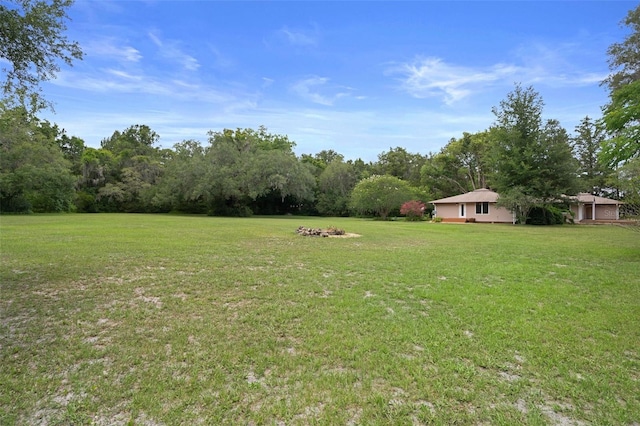 22063 Lake Lindsey Rd, Brooksville, FL 34601 - view of grassy yard with a view of trees