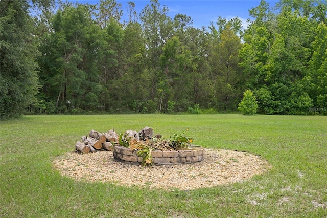 22063 Lake Lindsey Rd, Brooksville, FL 34601 - view of green lawn with a view of trees and an outdoor fire pit