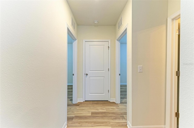 4206 Park Willow Ave, Palmetto, FL 34221 - hall with light wood-style floors and baseboards