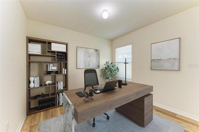 4206 Park Willow Ave, Palmetto, FL 34221 - home office featuring light wood-style flooring and baseboards
