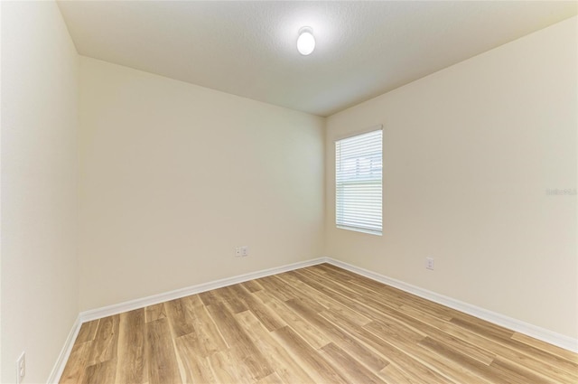 4206 Park Willow Ave, Palmetto, FL 34221 - unfurnished room featuring light wood-style flooring and baseboards