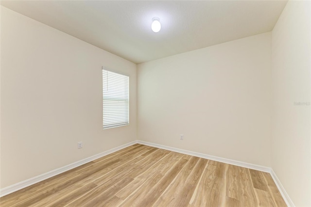 4206 Park Willow Ave, Palmetto, FL 34221 - unfurnished room featuring light wood-style flooring and baseboards