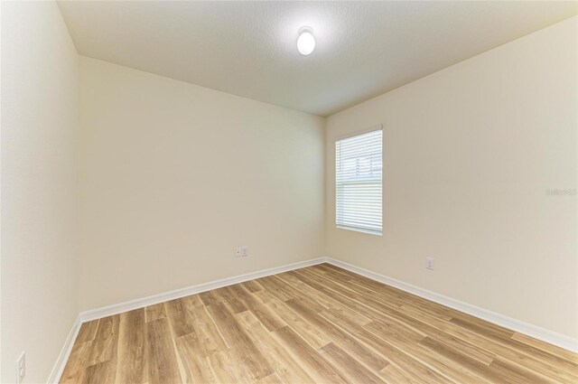 4206 Park Willow Ave, Palmetto, FL 34221 - empty room with light wood-type flooring