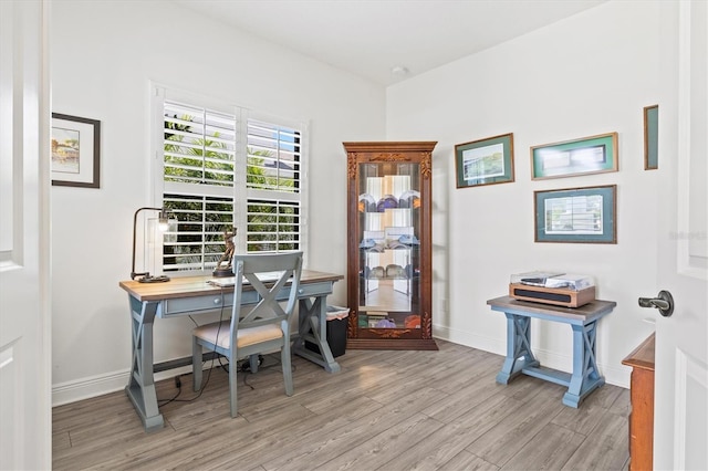 13849 Old Creek Ct, Parrish, FL 34219 - office area with light wood finished floors and baseboards
