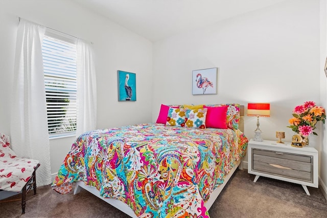 13849 Old Creek Ct, Parrish, FL 34219 - carpeted bedroom featuring baseboards