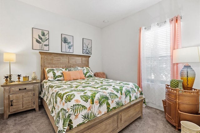 13849 Old Creek Ct, Parrish, FL 34219 - bedroom with carpet