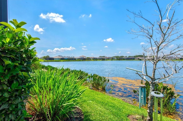 13849 Old Creek Ct, Parrish, FL 34219 - water view