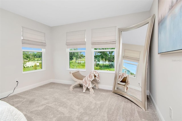 14787 Gallop Run Dr, Lithia, FL 33547 - sitting room featuring carpet and healthy amount of natural light
