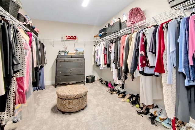 14787 Gallop Run Dr, Lithia, FL 33547 - walk in closet featuring carpet flooring