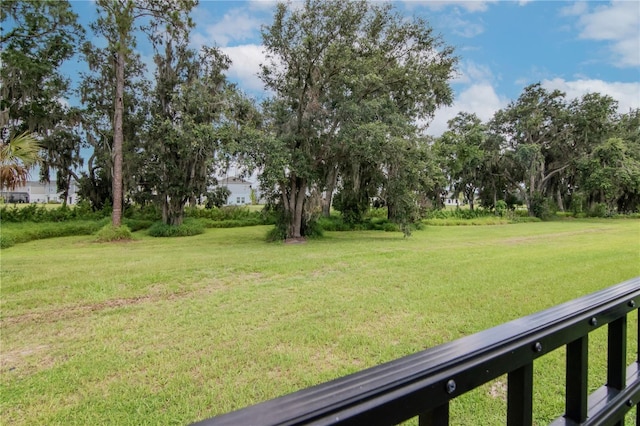 14787 Gallop Run Dr, Lithia, FL 33547 - view of green lawn