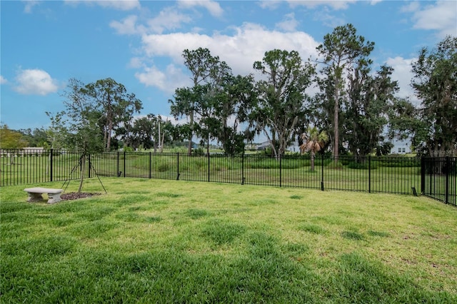 14787 Gallop Run Dr, Lithia, FL 33547 - view of yard