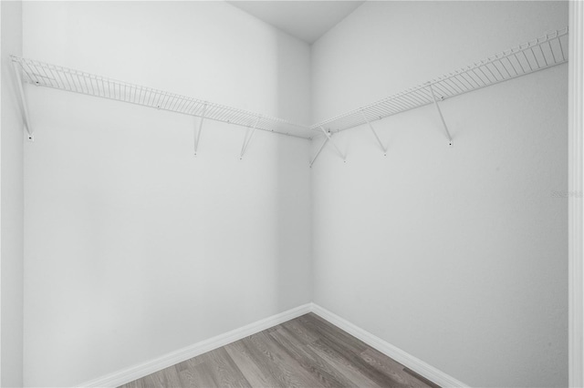 703 Salamanca Ct, Sebring, FL 33870 - walk in closet with wood finished floors