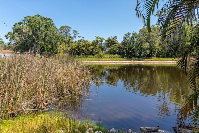 4758 Breezy Pines Blvd, Sarasota, FL 34232 - water view