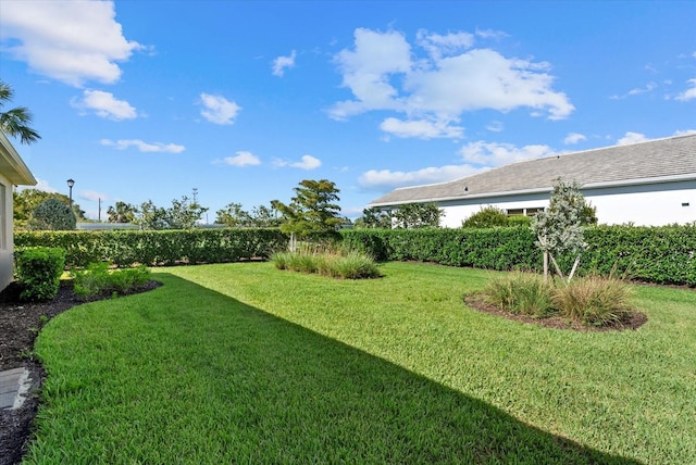 26000 Seastone Dr, Englewood, FL 34223 - view of grassy yard
