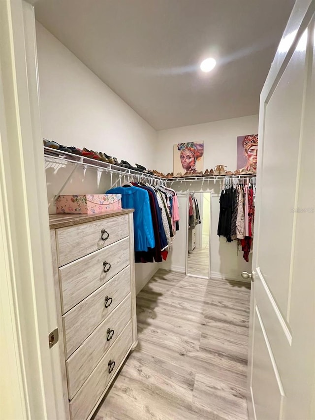 2410 Mizner Bay Ave, Bradenton, FL 34208 - spacious closet with light wood finished floors
