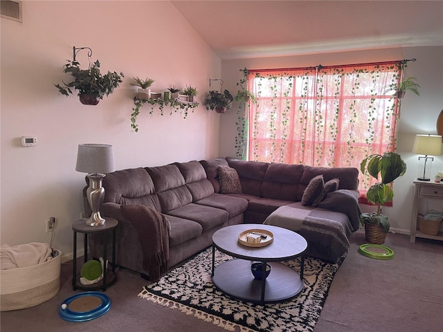 4802 51st St W Unit 1724, Bradenton, FL 34210 - living room featuring carpet flooring and vaulted ceiling